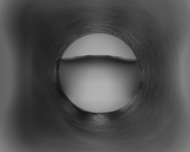 X0000099580183200805160753