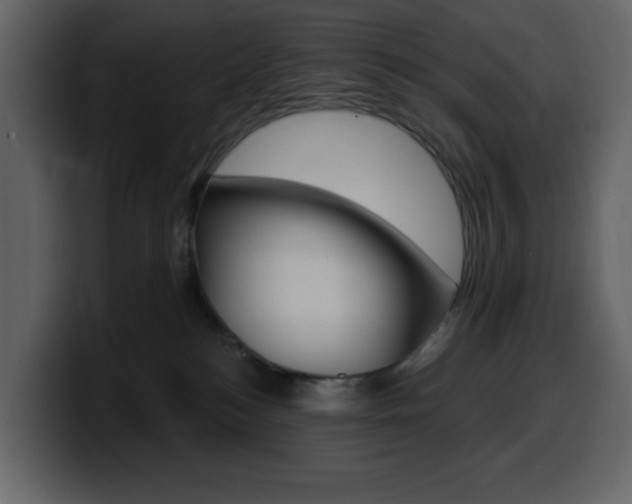 X0000099580184200805160753