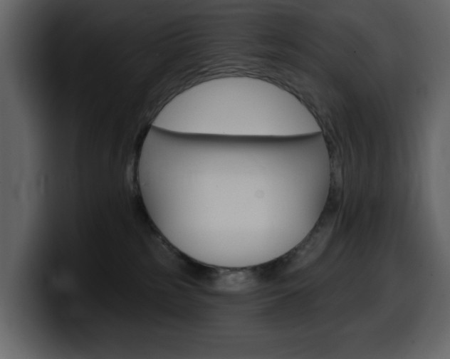 X0000099580185200805160753