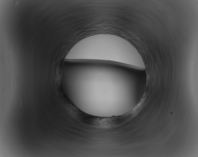 X0000099580186200805160753