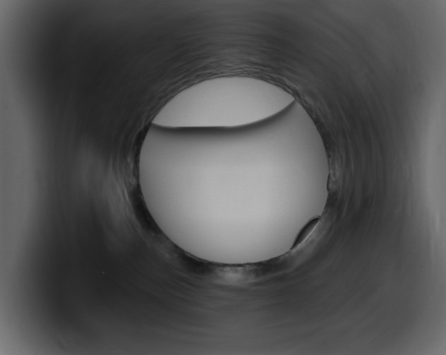 X0000099580187200805160753
