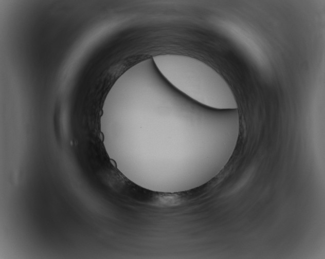 X0000099580189200805160753