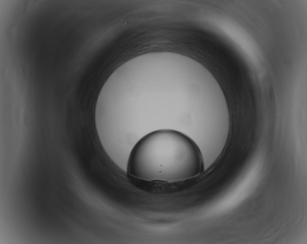 X0000099580190200805160753