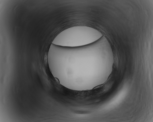 X0000099580191200805160753