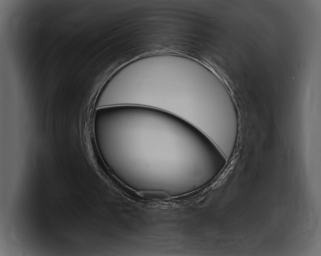 X0000099580193200805160753