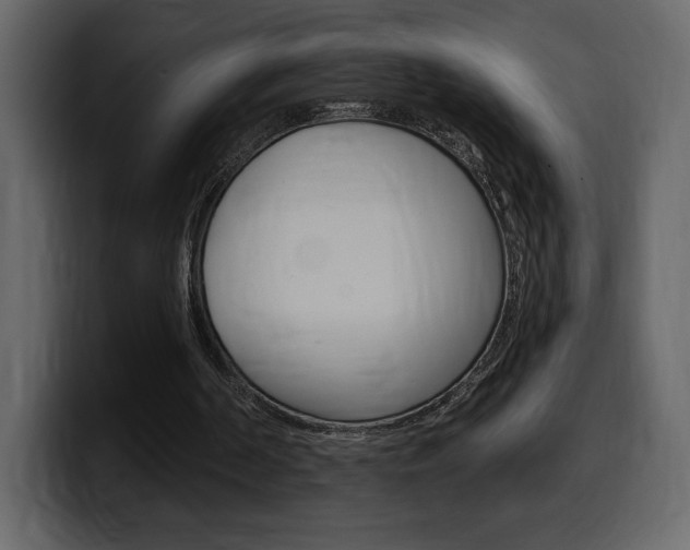 X0000099580194200805160753