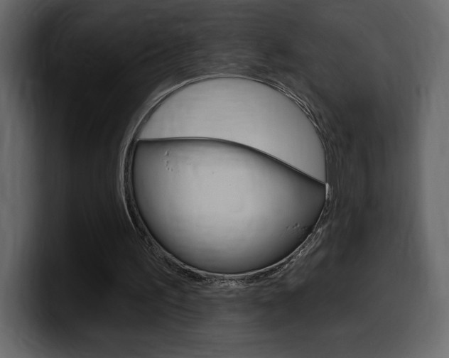 X0000099580195200805160753