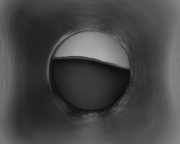 X0000099580196200805160753