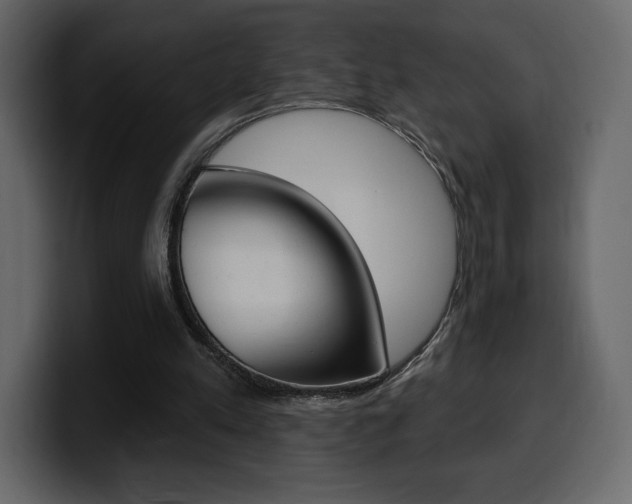 X0000099580197200805160753