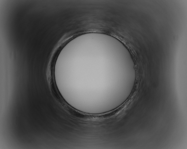 X0000099580198200805160753