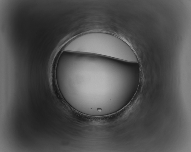 X0000099580199200805160753