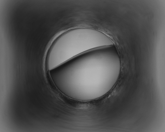 X0000099580200200805160753