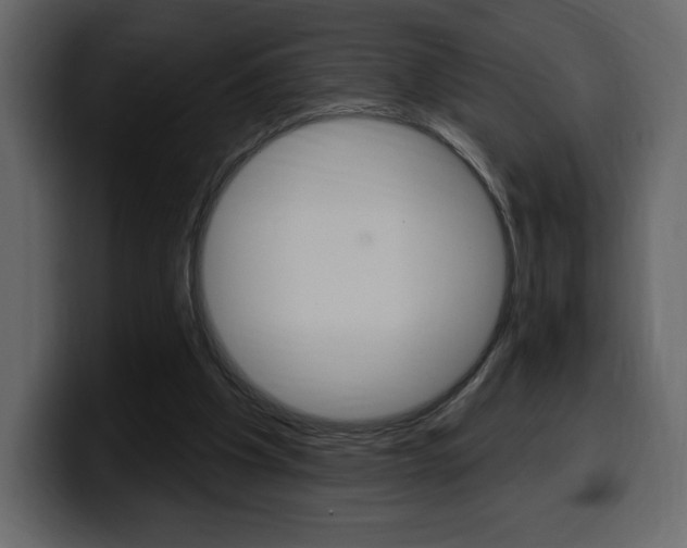 X0000099580201200805160753