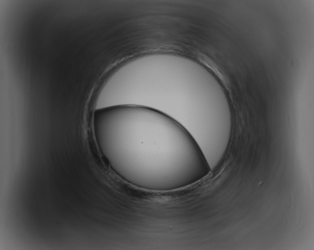 X0000099580203200805160752