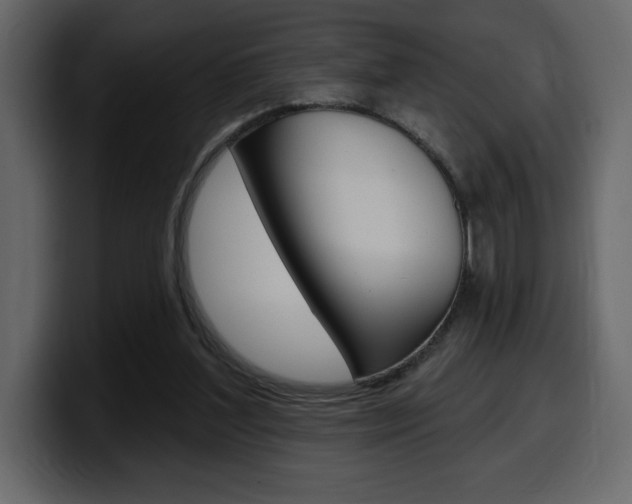 X0000099580204200805160752
