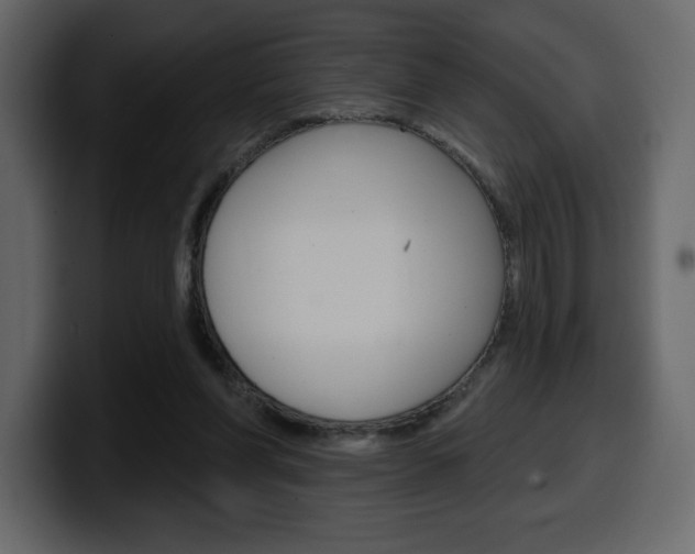 X0000099580206200805160752