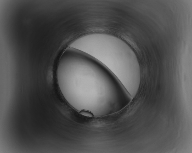 X0000099580207200805160752