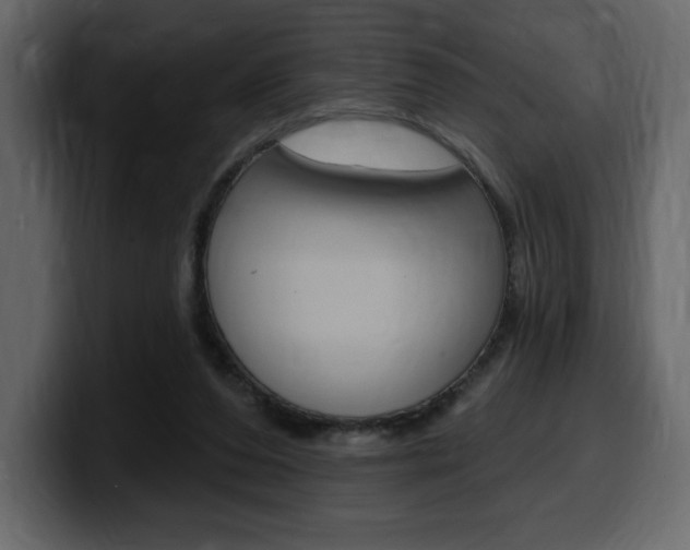 X0000099580208200805160752