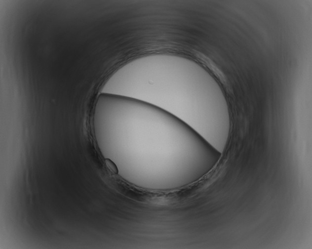 X0000099580209200805160752
