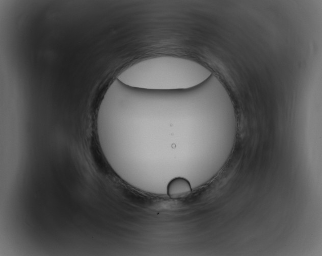 X0000099580210200805160752