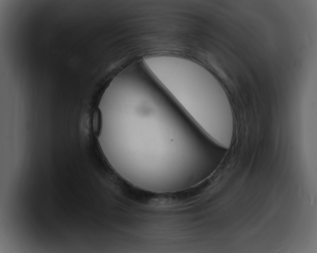 X0000099580211200805160752