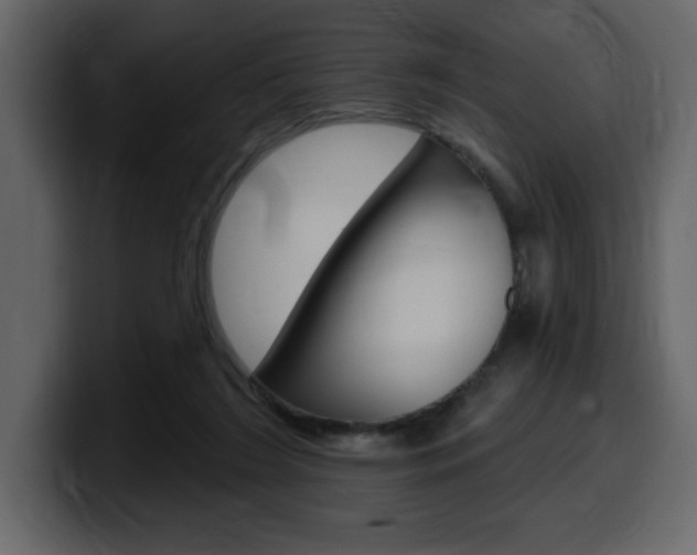 X0000099580212200805160752