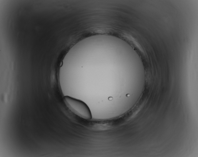 X0000099580213200805160752
