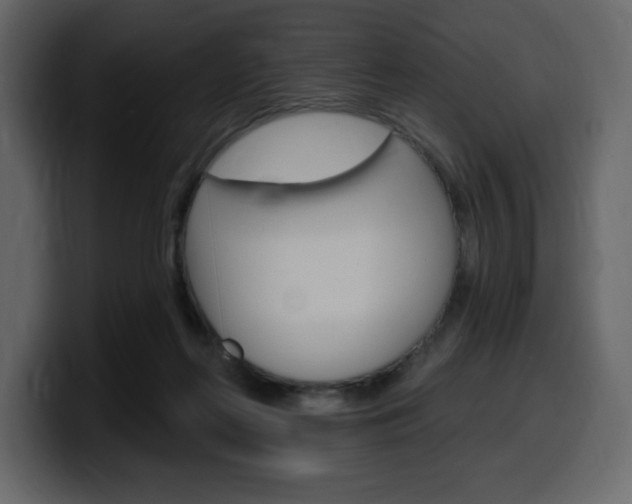 X0000099580214200805160752