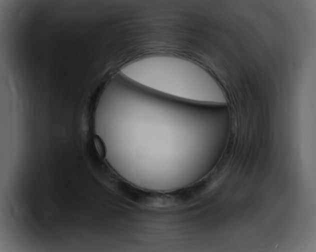 X0000099580215200805160752
