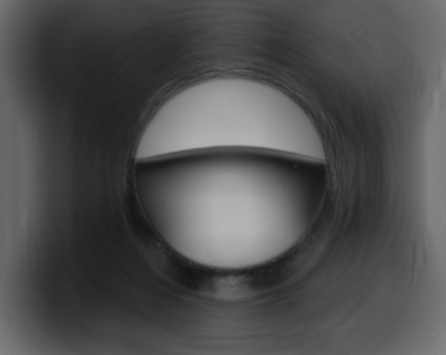 X0000099580216200805160752