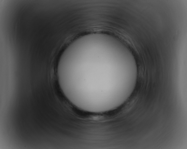 X0000099580220200805160752