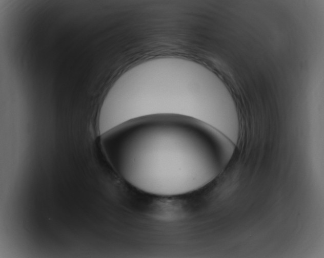 X0000099580221200805160752
