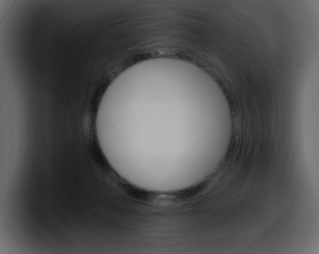 X0000099580222200805160752