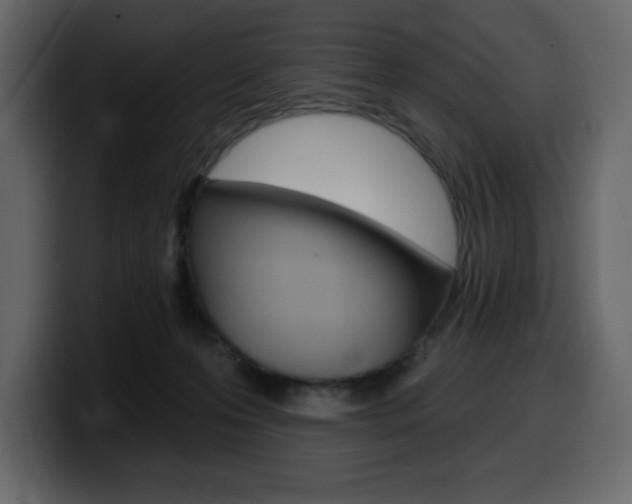 X0000099580223200805160752