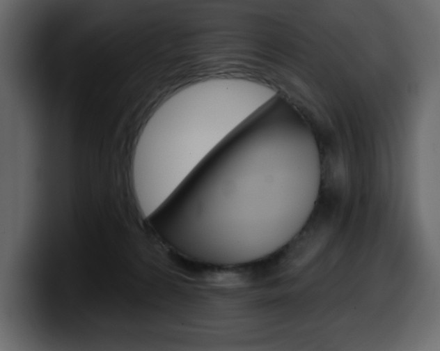 X0000099580224200805160752