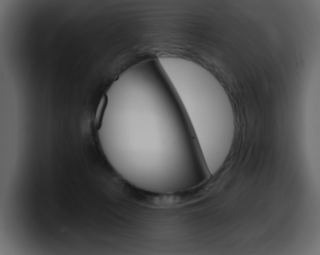 X0000099580225200805160752