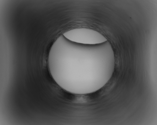 X0000099580226200805160752