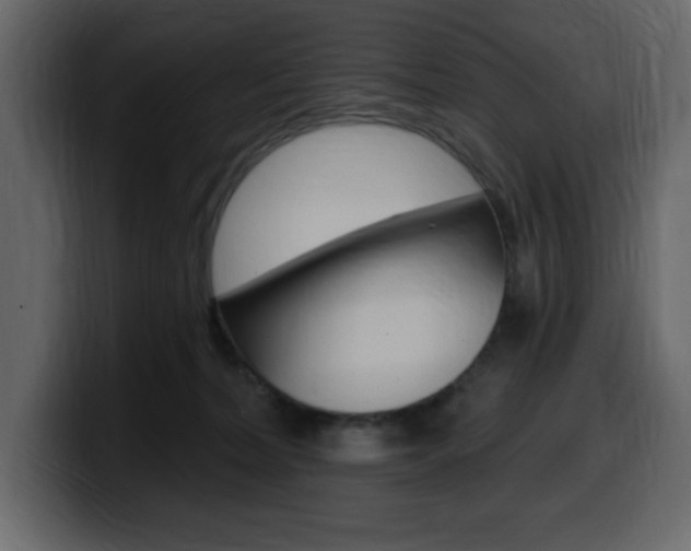 X0000099580228200805160752