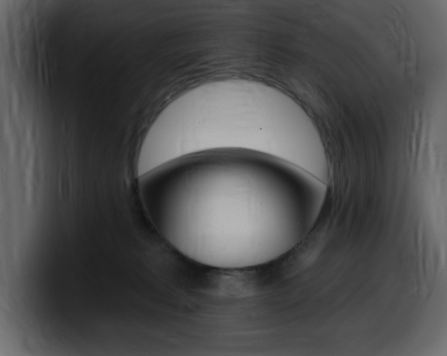 X0000099580229200805160752