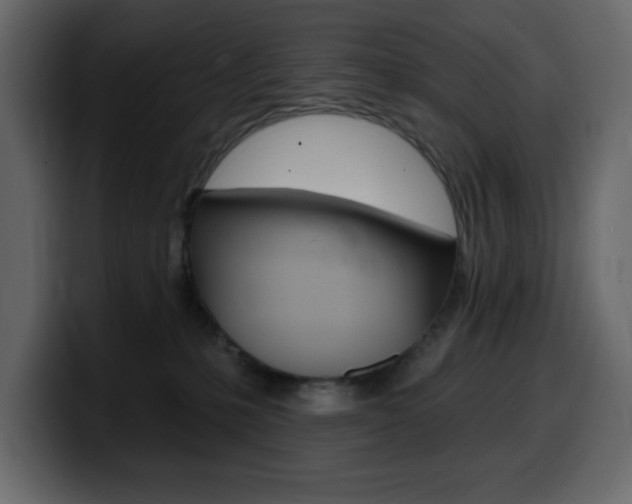 X0000099580231200805160752