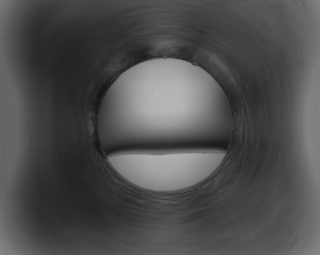 X0000099580232200805160752