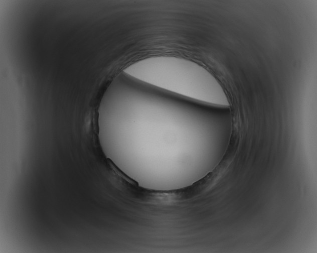 X0000099580233200805160752