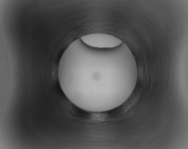 X0000099580234200805160752