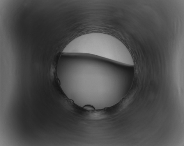 X0000099580235200805160752