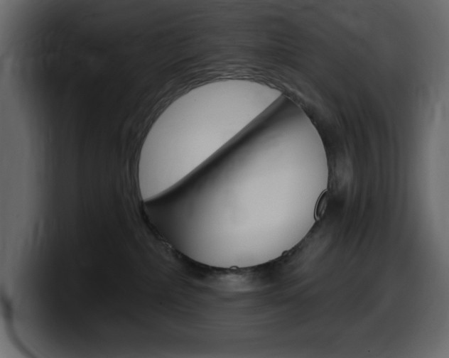 X0000099580236200805160752