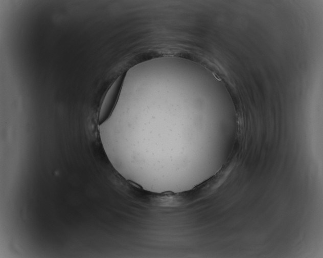 X0000099580237200805160752