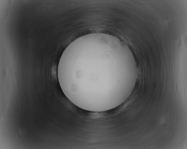 X0000099580238200805160752