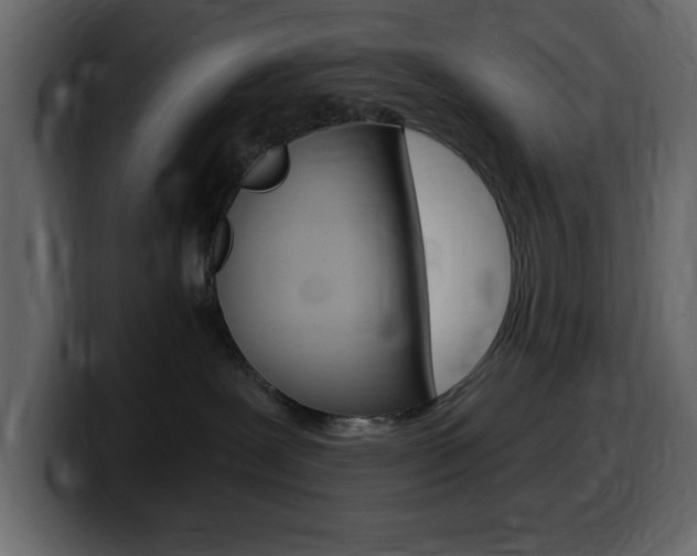 X0000099580239200805160752