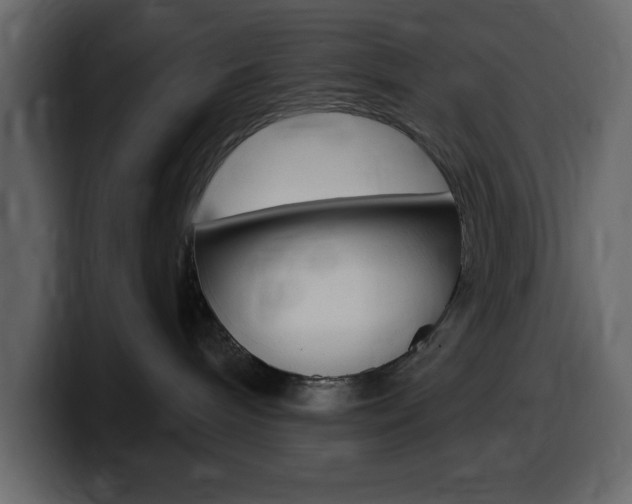 X0000099580240200805160752