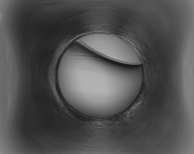 X0000099580241200805160751